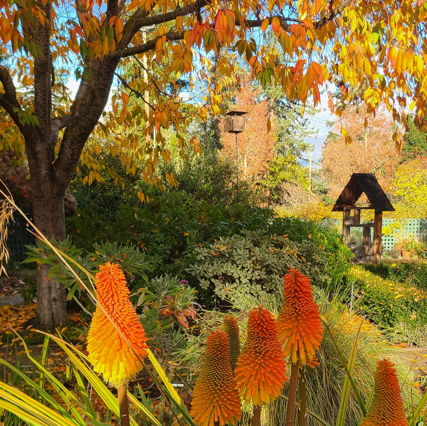 Harvest Social at Gamble Garden · Palo Alto