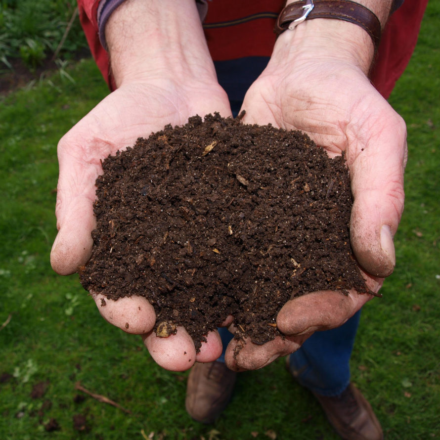 Worm composting workshop · Palo Alto